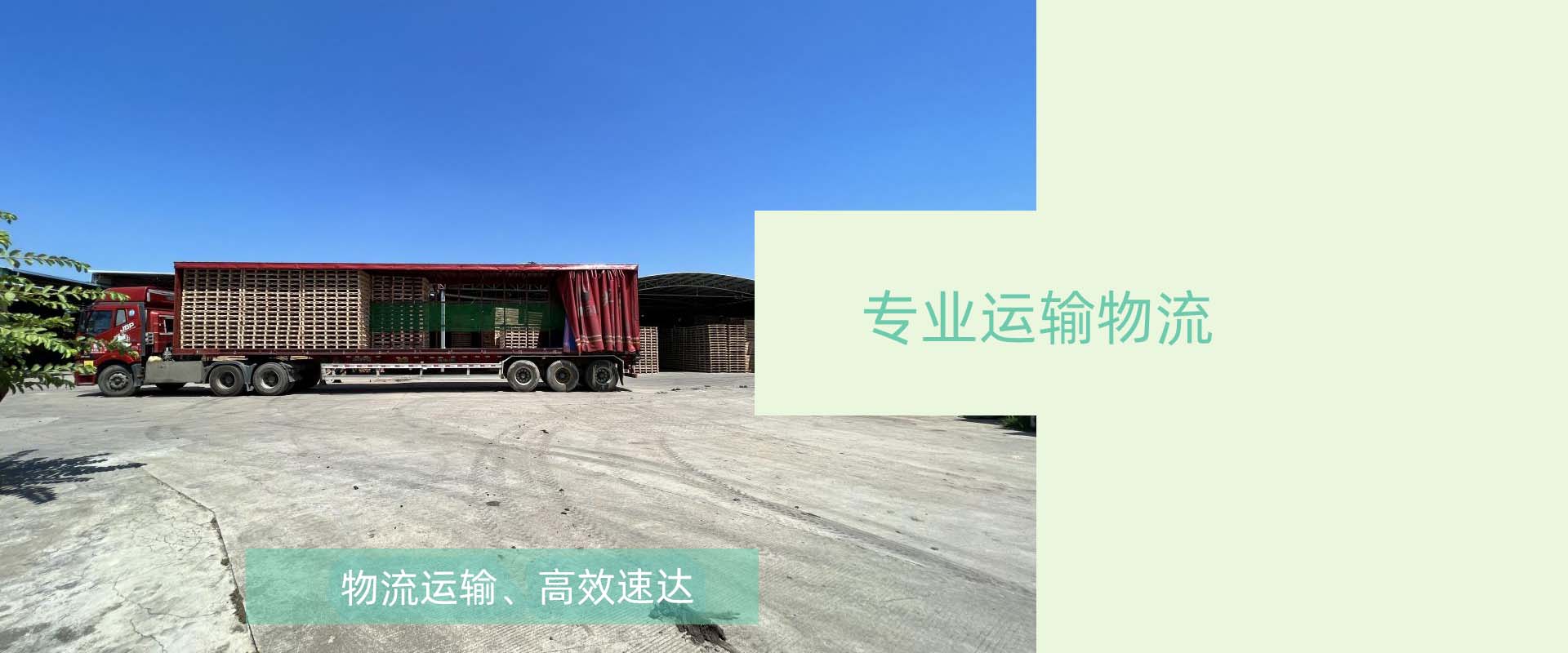 港澳六台联盟