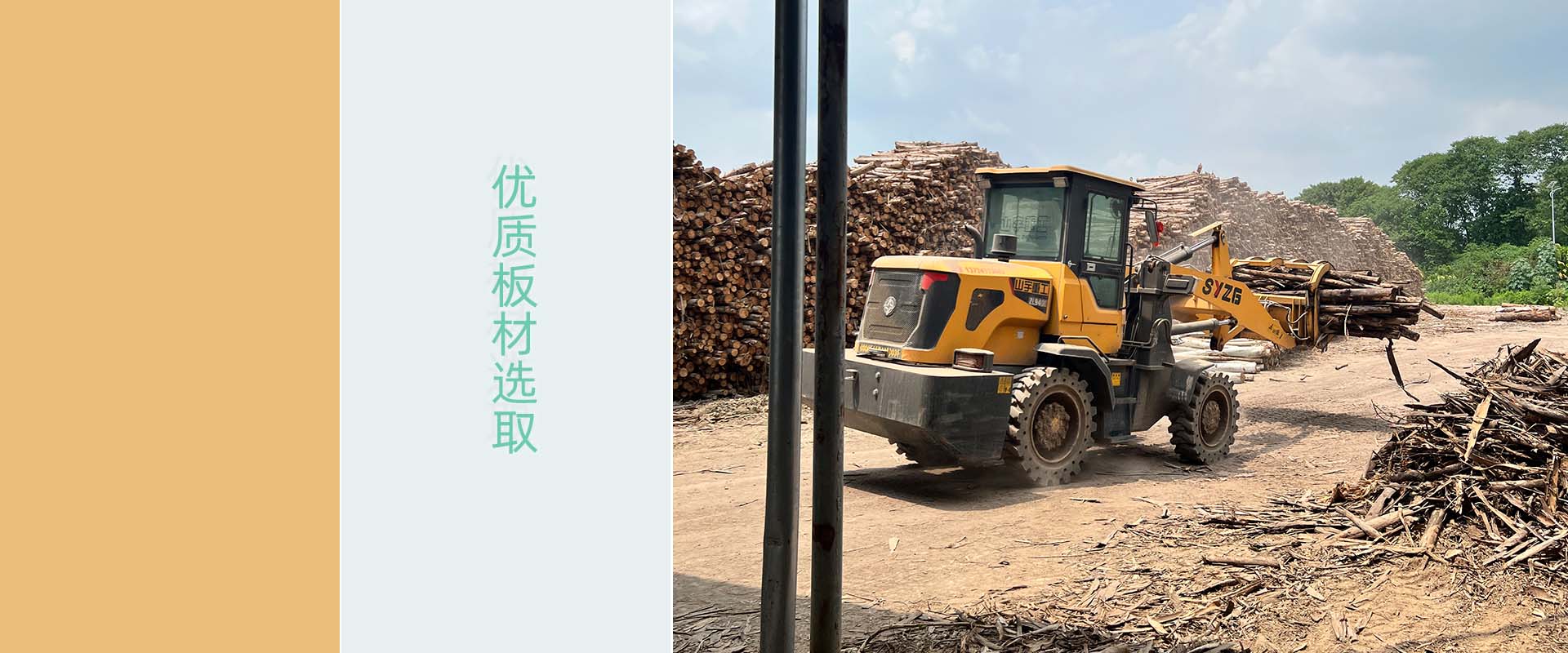 港澳六台联盟